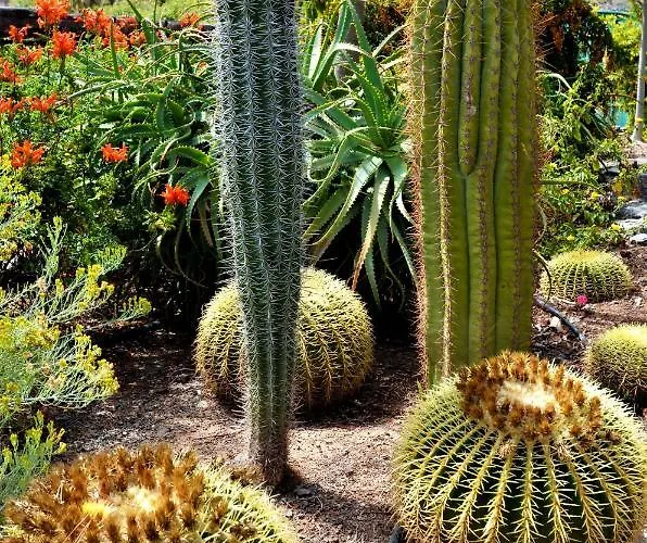 Olivas - Unique With Heated Pool Дом отдыха Маспаломас