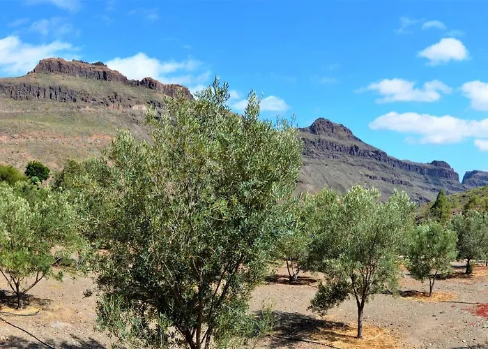 Дом отдыха Olivas - Unique With Heated Pool