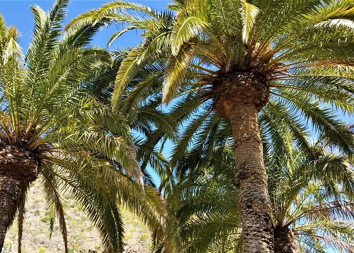 Дом отдыха Olivas - Unique With Heated Pool *
